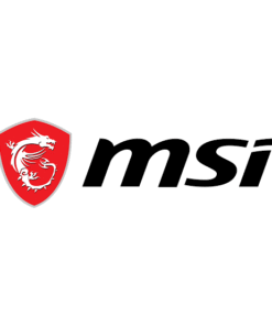 MSI